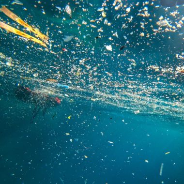 Avec Mare Vivu, de jeunes Corses s’engagent contre la pollution plastique